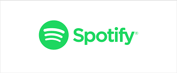How to fix Spotify stuck on loading screen iPhone ?