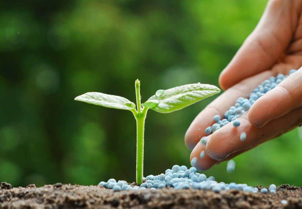 Major Indian Fertilizer Brands Comparable to Yara 2025